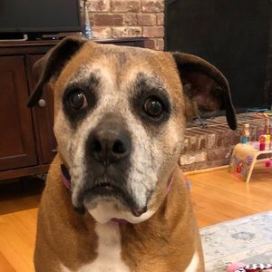 Meet your Posher, Emily